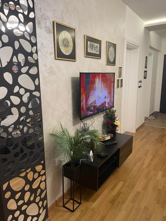 TV a/nebo společenská místnost v ubytování Ria apartman