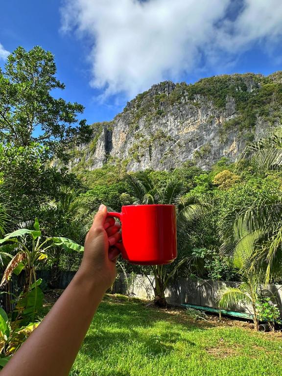 a person holding a red cup in front of a mountain at Blue House El Nido in El Nido