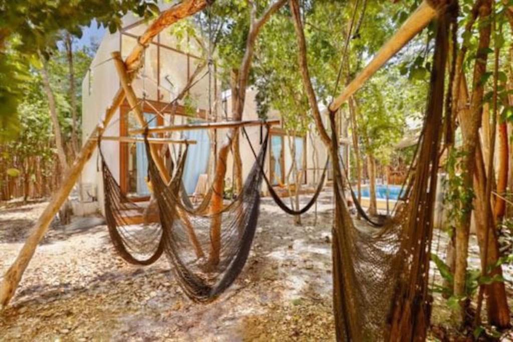 Zahrada ubytování Loft Cabins In Cenotes Natural Park Tulum