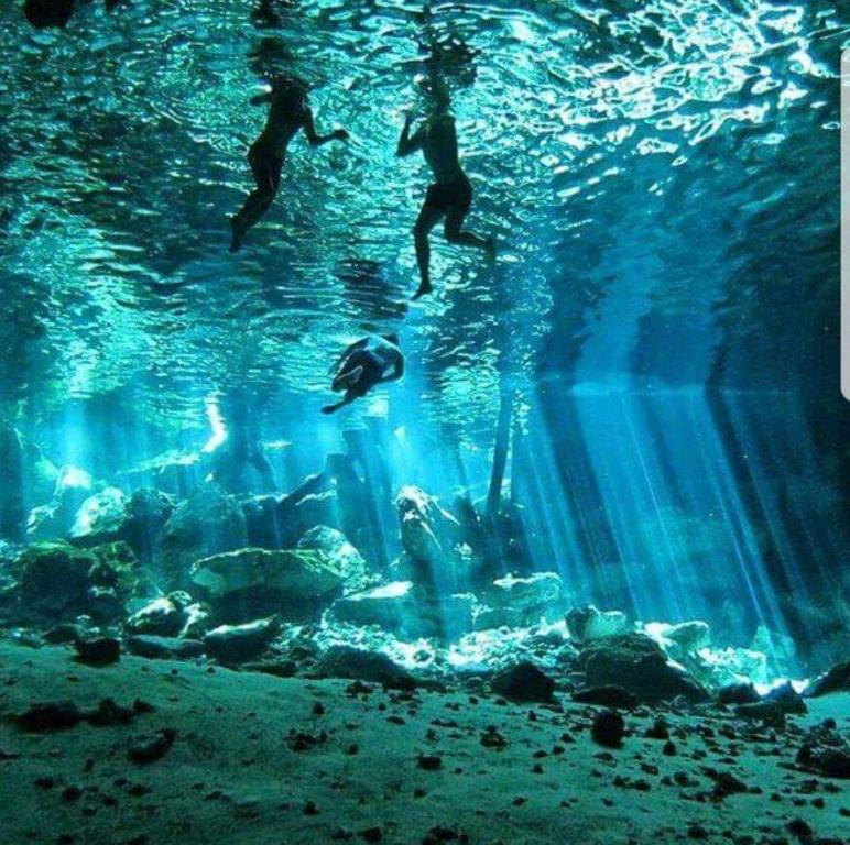 Hosté ubytování Loft Cabins In Cenotes Natural Park Tulum