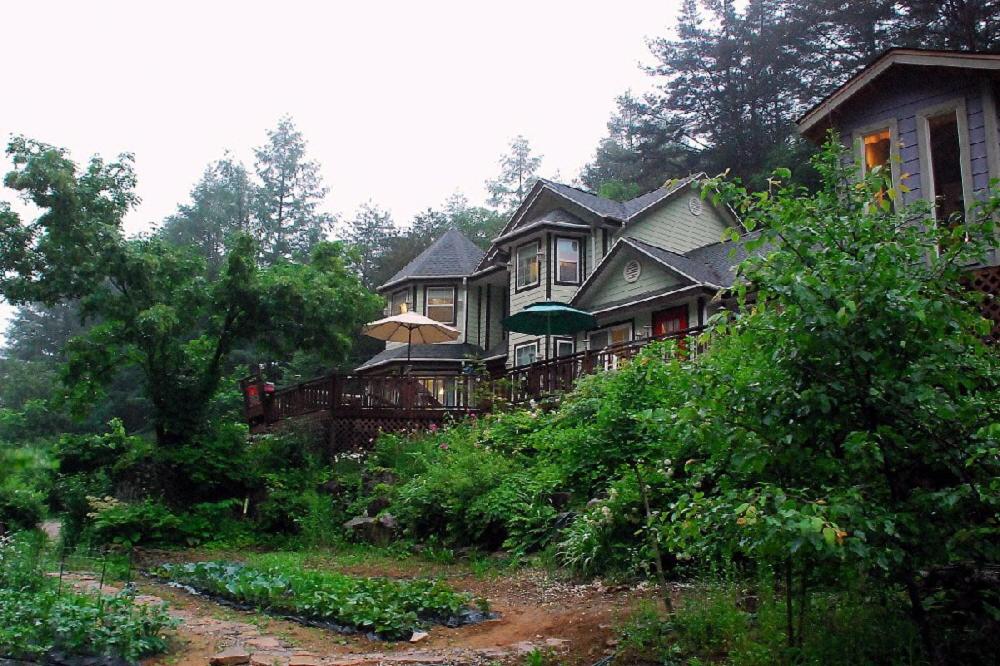 a large house on a hill in the woods at Fermata Pension in Pyeongchang