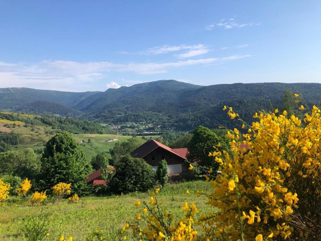 a house in a field with mountains in the background at Appartement à la ferme vosgienne avec terrasse, cheminée et wifi - FR-1-589-759 in Fresse-sur-Moselle