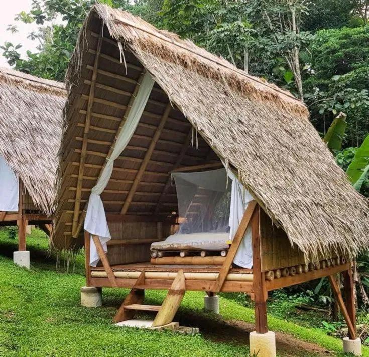 Imagen de la galería de ZIGZAG Lodge, en Francisco de Orellana
