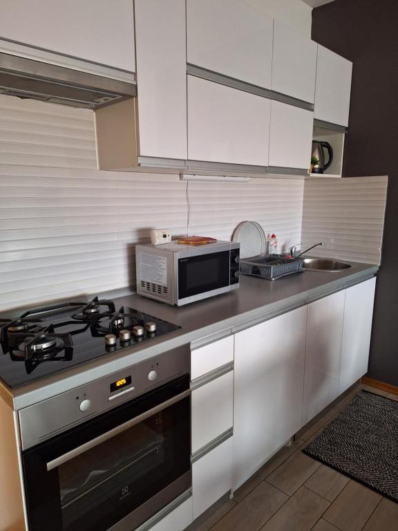 Kuchyňa alebo kuchynka v ubytovaní Studio apartman Anamaria