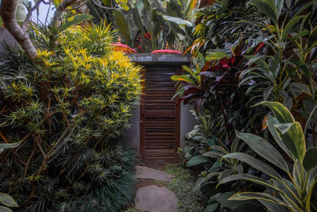 Purana Boutique Resort - 10