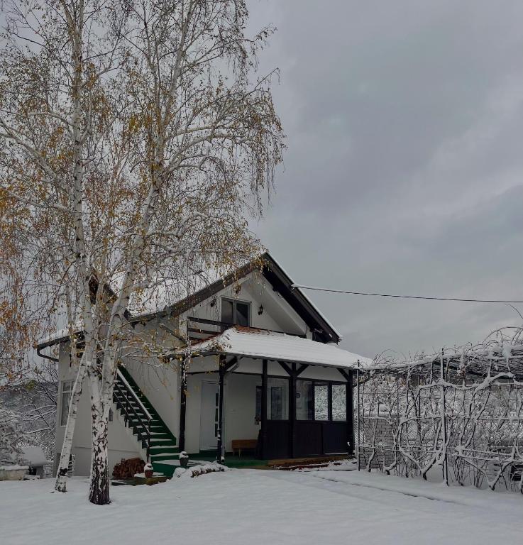 Villa Buena v zimě