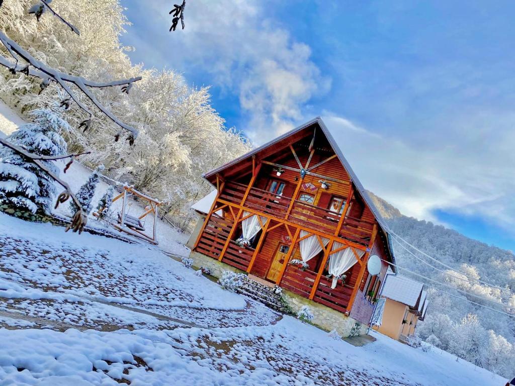 a log cabin in the snow on a hill at Cabana Mădălin in Gurani