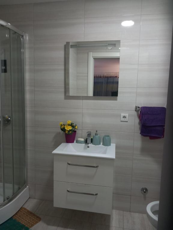 Koupelna v ubytování Apartman Savić
