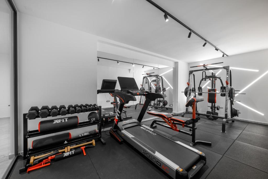 Fitness centrum a/nebo fitness zařízení v ubytování Cens Silver Luxury Suites