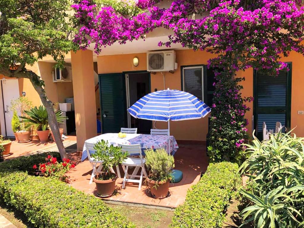 a patio with a table and an umbrella and plants at Marasusa Dreams in Parghelia