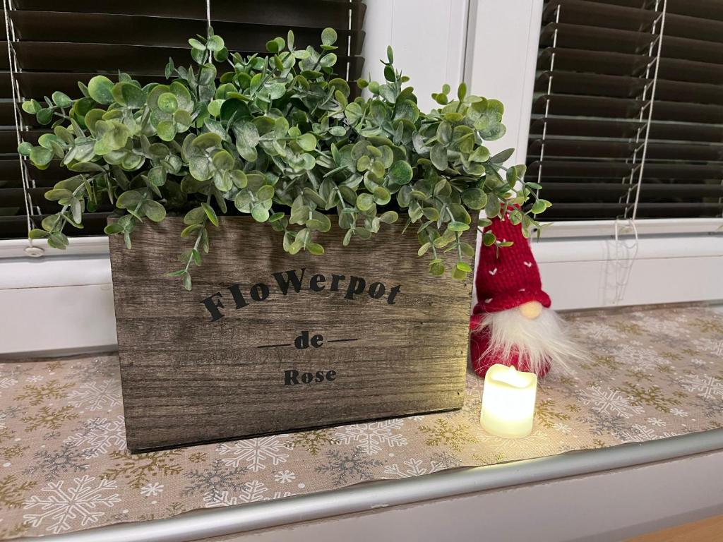 Flow House - Resim 8