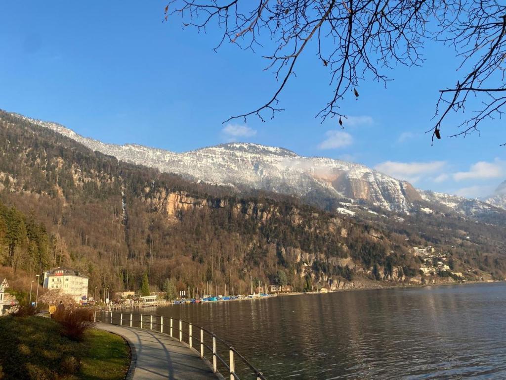 Pokrajina v okolici apartmaja