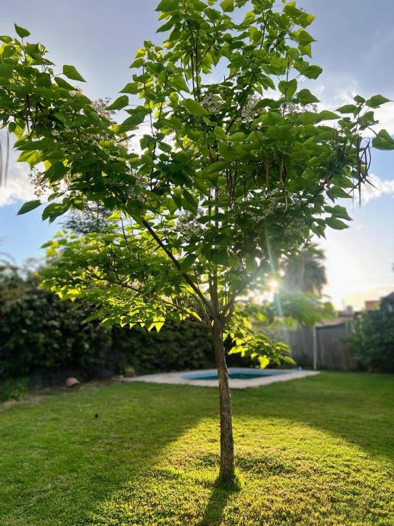 Gallery image of La Catalpa B&B in Ciudad Lujan de Cuyo
