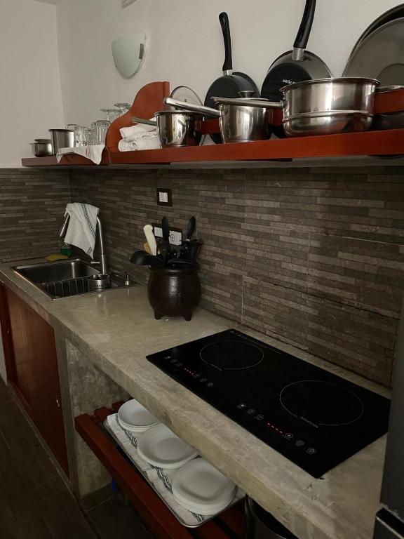 Kuchyň nebo kuchyňský kout v ubytování Caribo Cozumel
