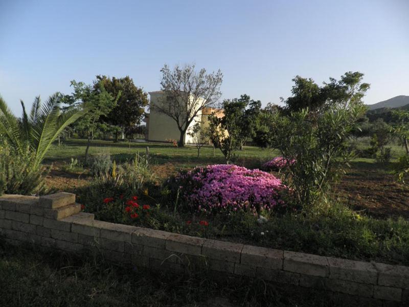 テルテニーアにあるSu Concaliの公園内のピンクの花の庭園