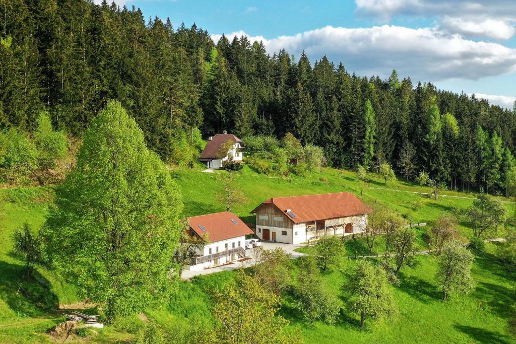eine Luftansicht eines Hauses auf einem Hügel mit Bäumen in der Unterkunft Peaceful Slovenj Gradec Holiday Villa Escape in Pameče