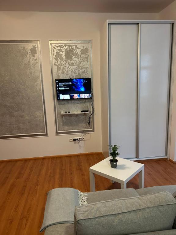een woonkamer met een bank en een tv bij 1 st may plaza de luxe in Bratislava