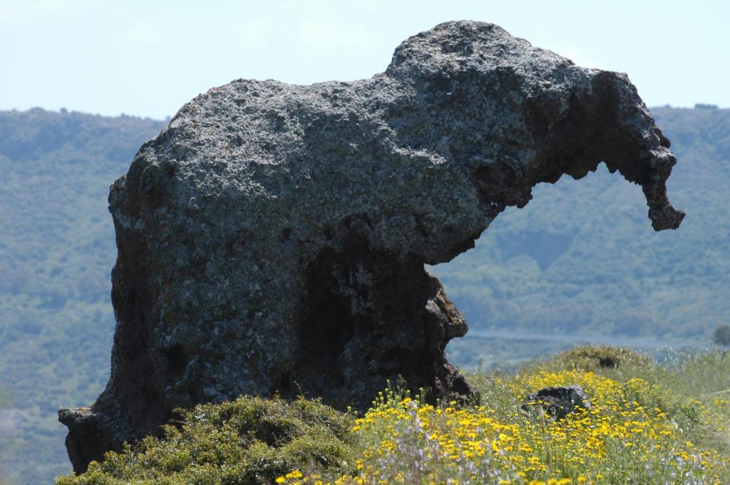 Paesaggio naturale nelle vicinanze dell'affittacamere