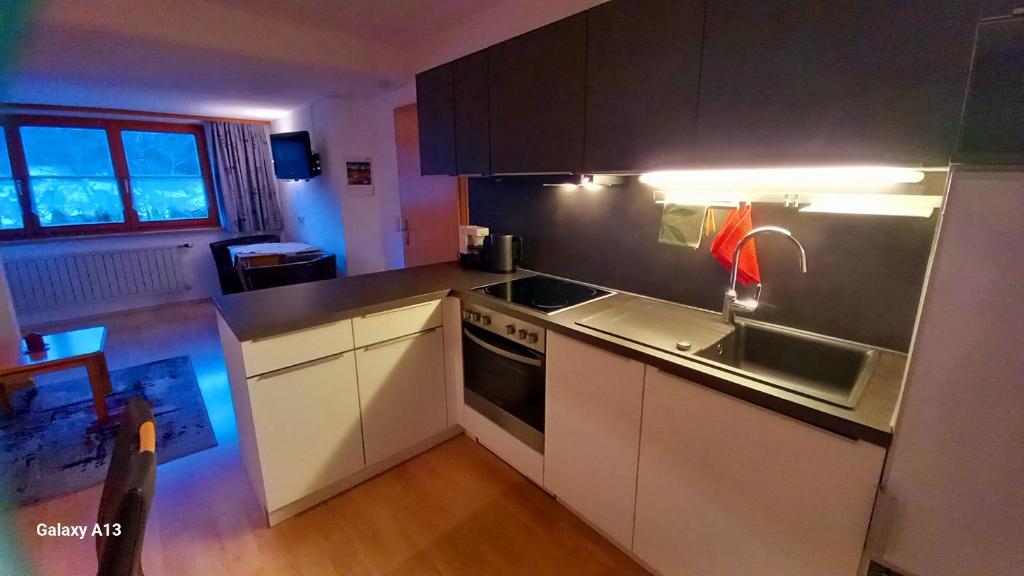 Kuchyň nebo kuchyňský kout v ubytování Haus Simma