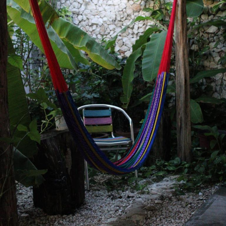 Jardí fora de VALLADOLID 48 Hotel & Hostal