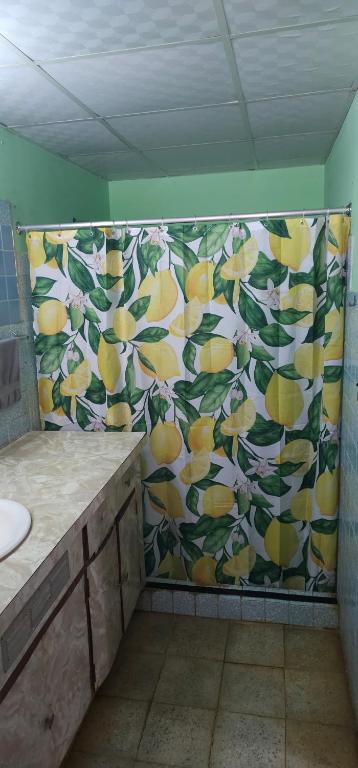 Φωτογραφία από το άλμπουμ του Cuartos independientes con baño privado - Casa La Dolce Vita Las Tablas σε Las Tablas