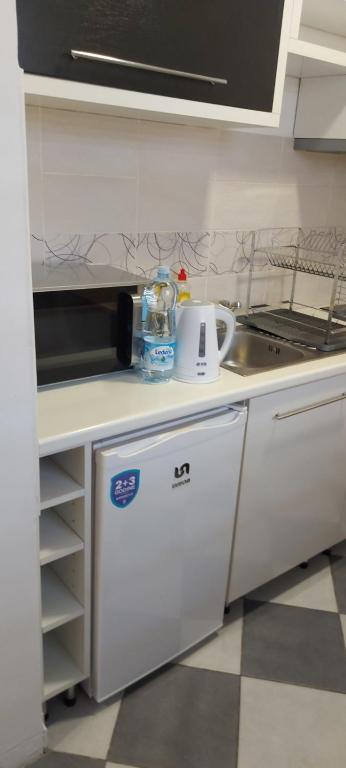Kuchyň nebo kuchyňský kout v ubytování Apartman IDEA