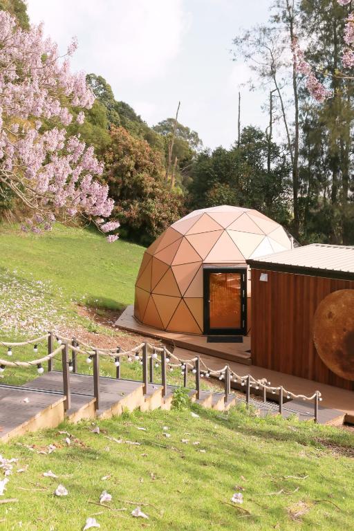 Stellar Glamping Auckland - Resim 29
