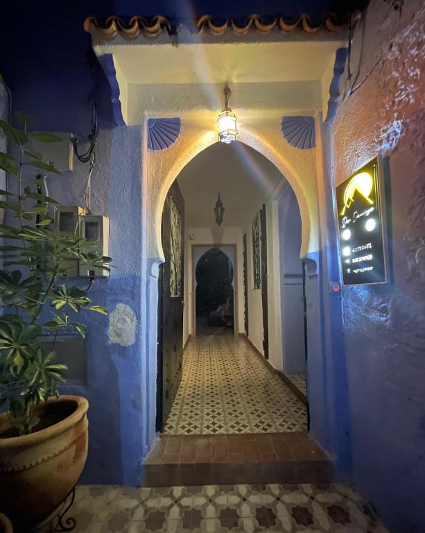 Fotografie z fotogalerie ubytování Studio Verde Dar Domingo v destinaci Šafšawán