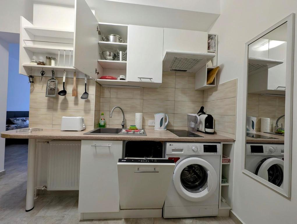 Kuchyň nebo kuchyňský kout v ubytování Moon Light - Heviz superior Apartments