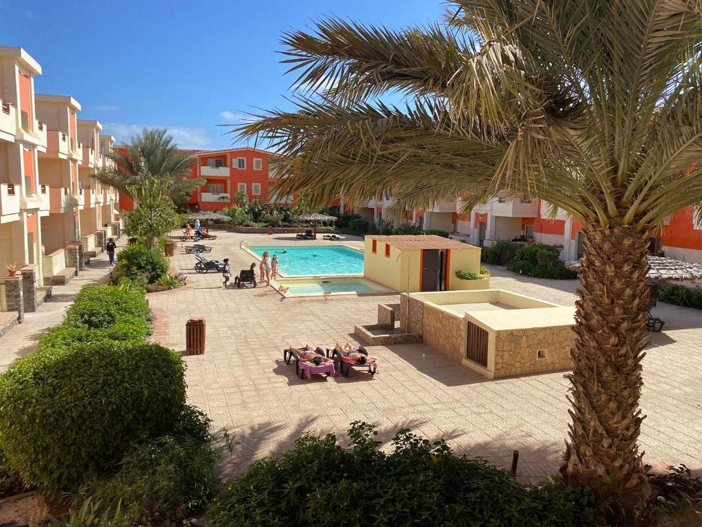 a resort with a swimming pool and a palm tree at African Lounge, Moradias Laranja in Prainha