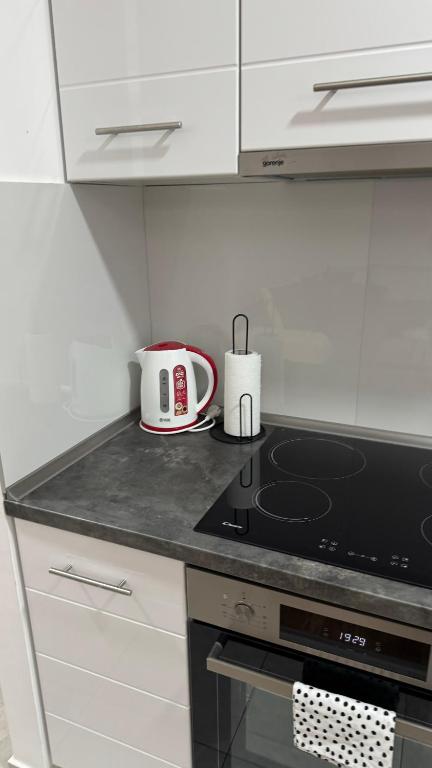 Kuchyň nebo kuchyňský kout v ubytování Apartman Pazova