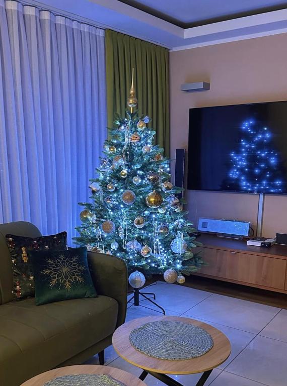 Telewizja i/lub zestaw kina domowego w obiekcie Apartament Panorama Ustronia