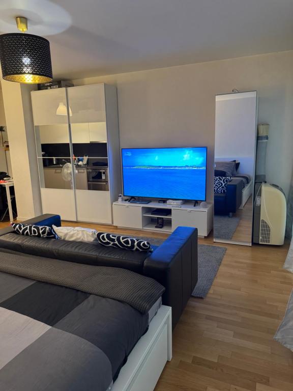 a living room with a large flat screen tv at Apartamento Ginebra ch in Geneva