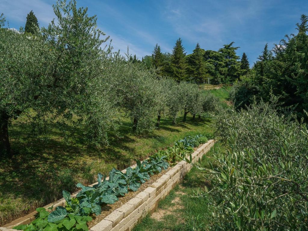 Zahrada ubytování Cà Toresele Relais Osteria Garden
