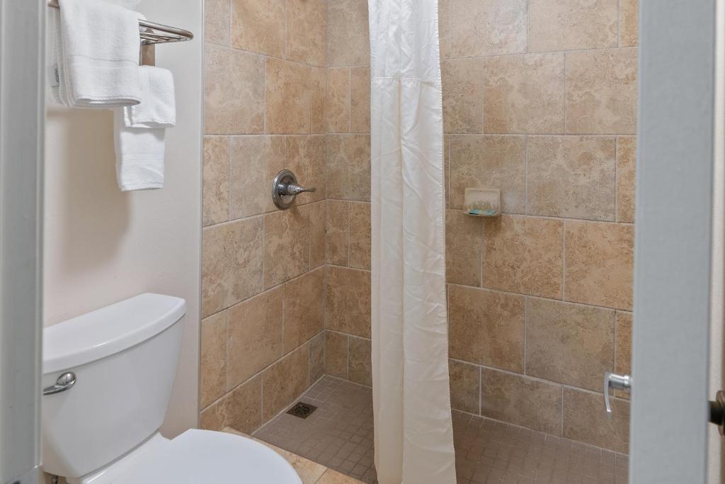 a bathroom with a shower with a toilet at Plantation Inn in Houma