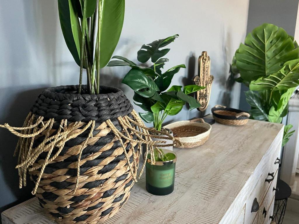 Billede fra billedgalleriet på Sunset Beach Guest House i Almada