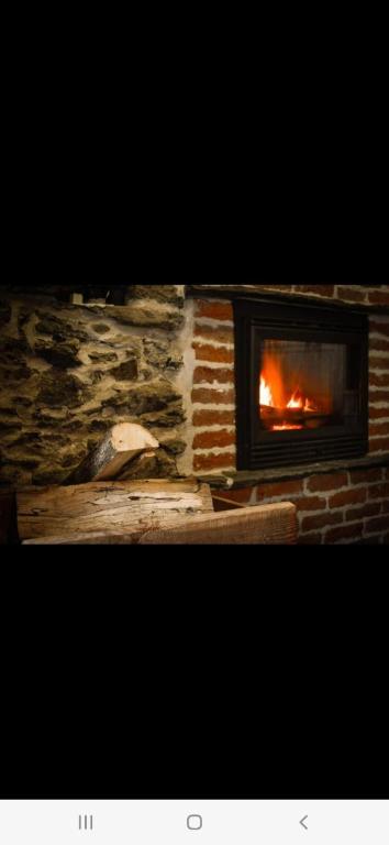 Chalet in pietra e legno con caminetto - 一居室公寓