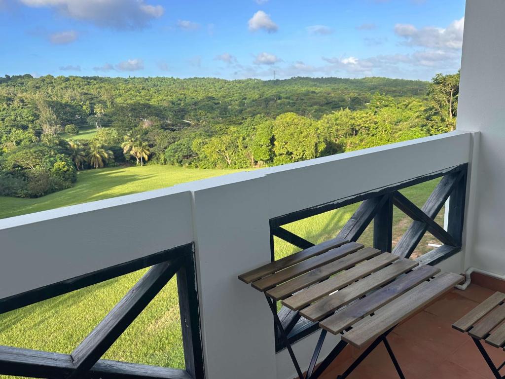 Club Vieques - Adults Only Resort - LGBT Friendly photo 2