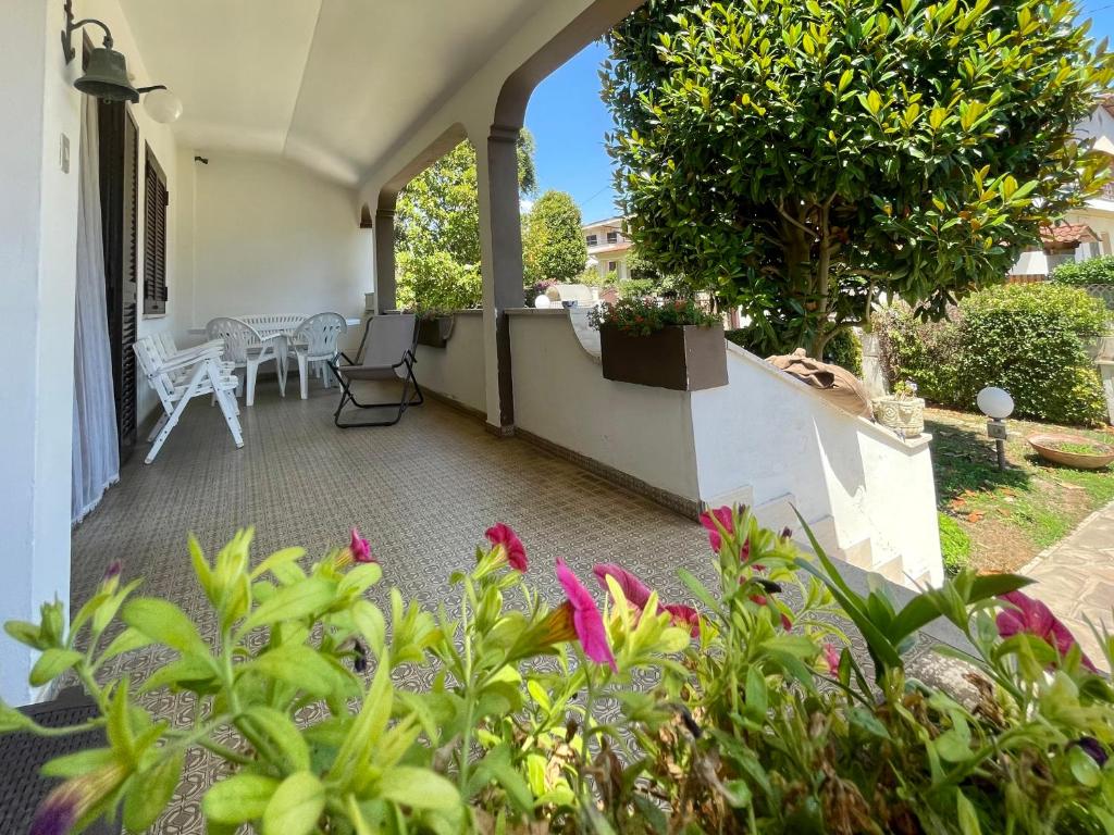 Zahrada ubytování VILLA LIVIA - Lavinio - Anzio