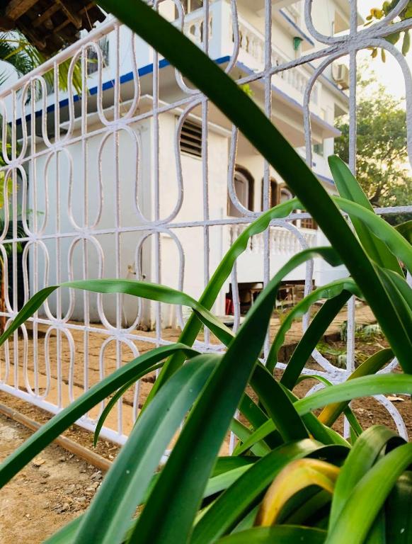 Zahrada ubytování The Bodhi Tree Resort