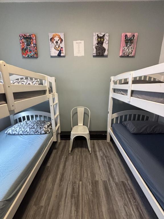 Queen Nest Hotel - Resim 21