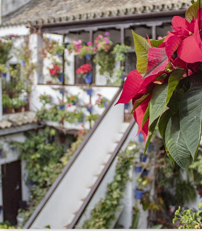 Accommodation Campanario de la Magdalena - 15