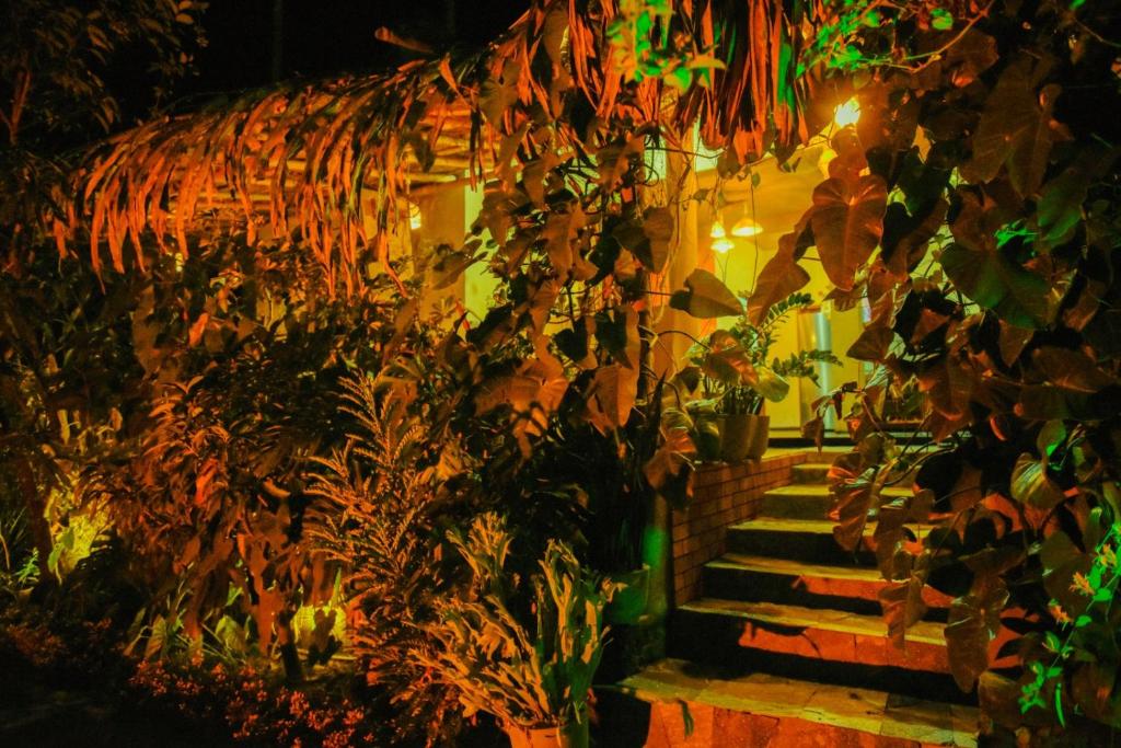 Fotografie z fotogalerie ubytování Ella Brown House v destinaci Ella