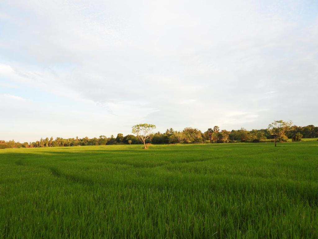 Green Sapphire Holiday Resort Wilpaththu - 6