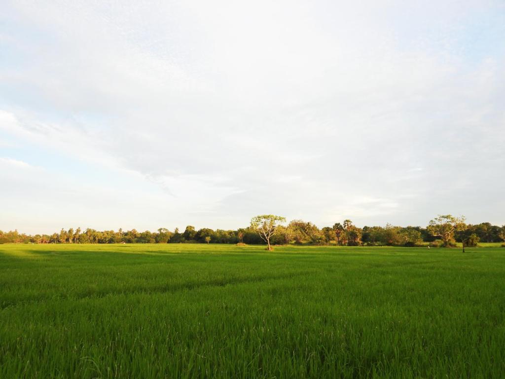 Green Sapphire Holiday Resort Wilpaththu - 7