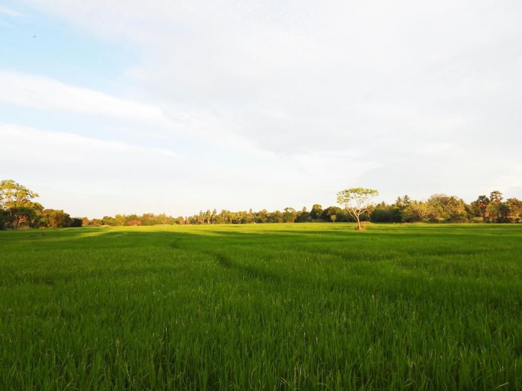 Green Sapphire Holiday Resort Wilpaththu - 8