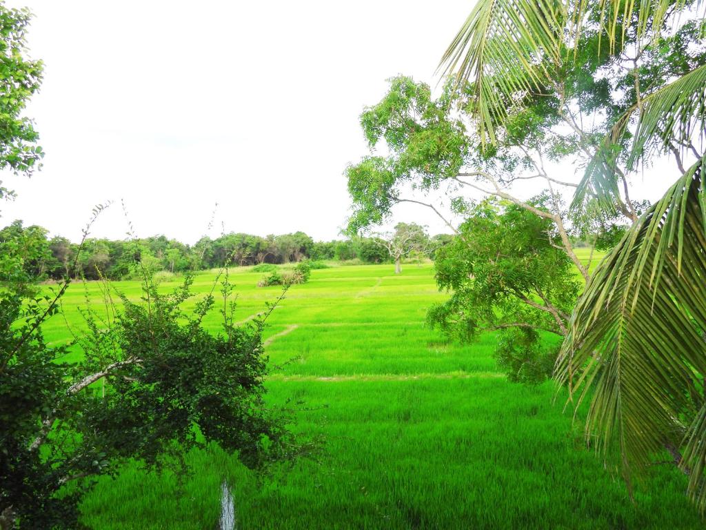 Green Sapphire Holiday Resort Wilpaththu - 10