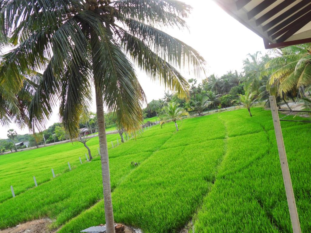 Green Sapphire Holiday Resort Wilpaththu - 12