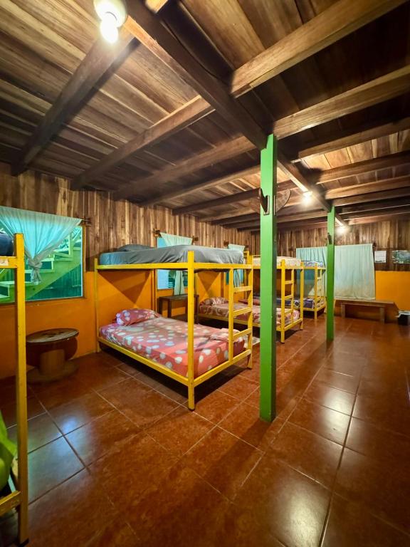 Palanda nebo palandy na pokoji v ubytování Madre Selva Hostel