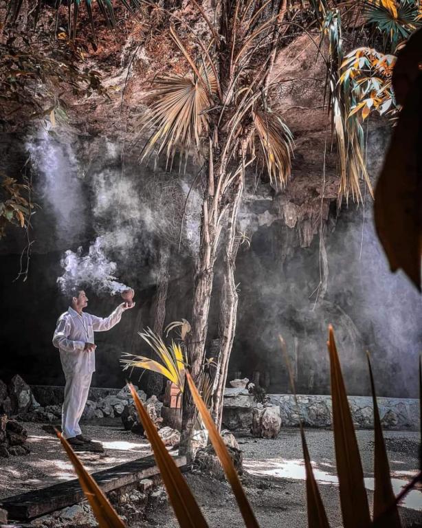Hosté ubytování Loft Cabins In Cenotes Natural Park Tulum